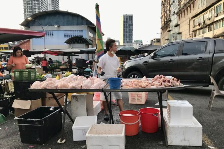 Malaysia Stop Ekspor Ayam