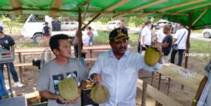 Durian Kundur Tidak Ada Lawan, Bisa Mencapai Rp1 Juta Per Buah