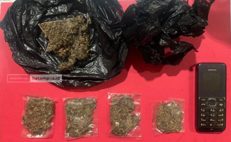 Bandar Narkoba di Batam Kirim Ganja Via TIKI