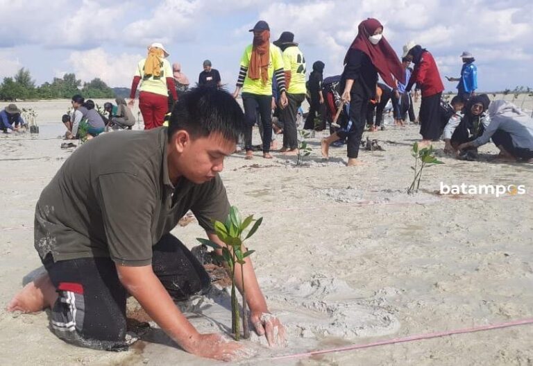 Hari Lingkungan Hidup Sedunia, 1.000 Bibit Mangrove Ditanam di Pantai Pengudang, Bintan