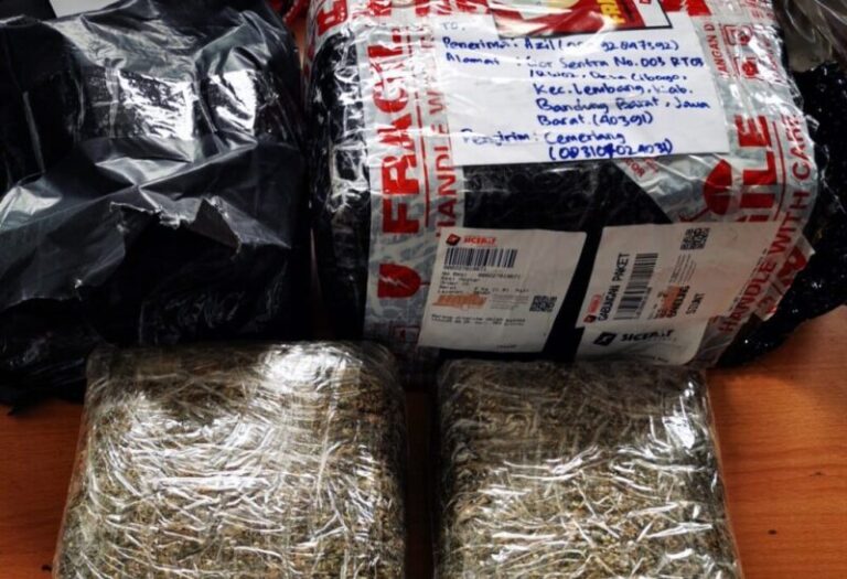 Dikirim Melalui Jasa Ekspedisi, Penyelundupan Ganja 4,1 Kg Berhasil Digagalkan
