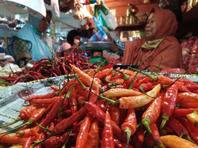 Harga Cabai di Pasar Baru Tanjungpinang Capai Rp 90 Ribu Per Kg