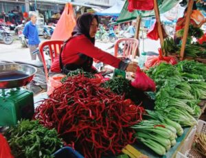 Harga Cabai Merah di Kundur Capai Rp 130.000 Per Kg