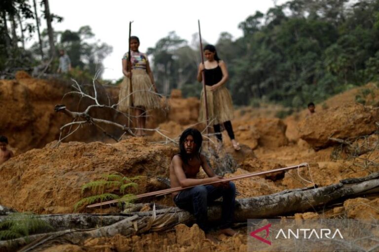 Wartawan Asal Inggris Hilang di Hutan Amazon