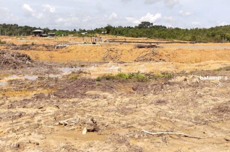Sungai Uku, Bulang Ditimbun, Nelayan Bilang Program Tanam Bakau Jokowi hanya Simbol Saja