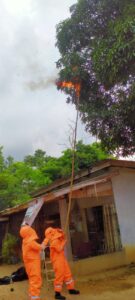 Khawatir Menyerang Anak-anak, Petugas Damkar Toapaya Bakar Sarang Tawon di Gunung Kijang