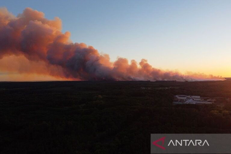 Hutan di Spanyol dan Portugal Terbakar