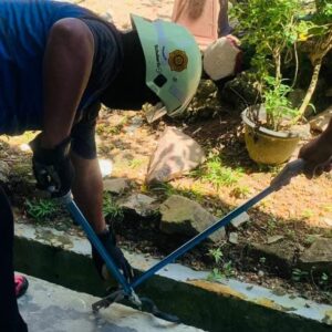 Ular Cari Makan di Tong Sampah Sekolah, Tim Damkar Turun ke Lokasi