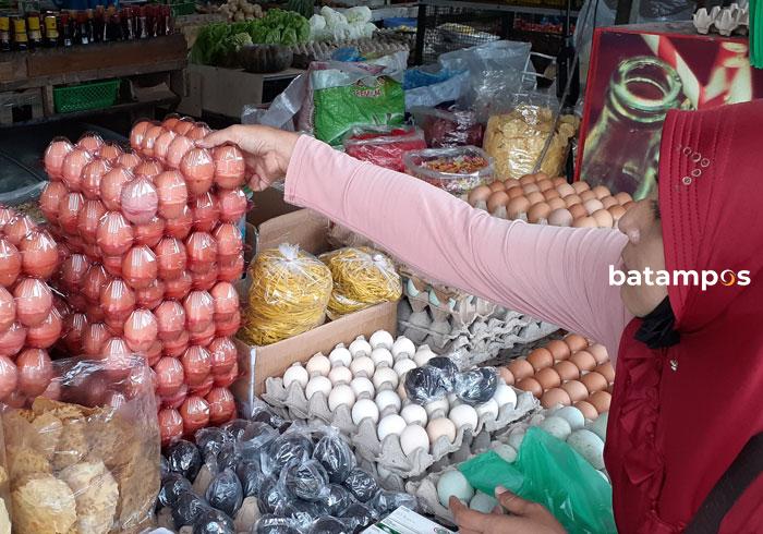 Harga Telur di Batam Naik Lagi Usai Lebaran