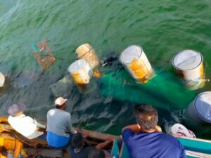 Kapal Nelayan Bertabrakan dengan Kapal Penampung Ikan, 2 Nelayan Terapung -apung di Laut