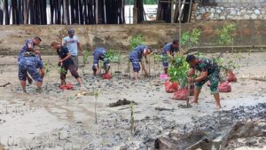 Lanal Karimun Tanam 5 Ribu Bibit Mangrove