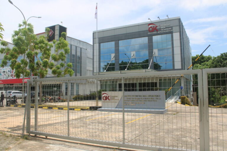 OJK Larang Pelaku Usaha Jasa Keuangan Pasarkan Efek Offshore