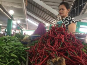 Di Karimun, Harga Cabai mulai Turun
