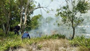 Padamkan Api Andalkan Ranting Pohon, Ini Alasan Tim Damkar Tanjunguban 