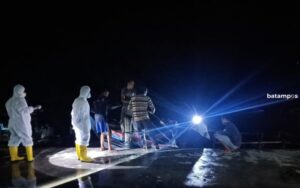 Atasi Krisis Ketersediaan Sapi, Pedagang Karimun Datangkan Sapi dari Daerah Ini