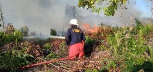 Lahan di Jalan Raya Busung, Lobam Terbakar