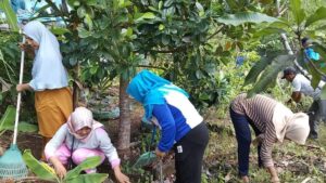 Tiap Minggu, Bank Sampah Pensosmas Kelurahan Tanjunguban Selatan Keliling Gotong Royong