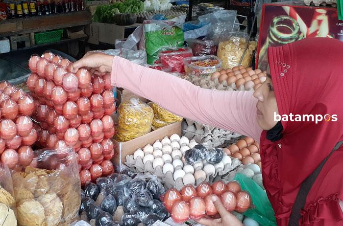 Distributor Klaim Harga Telur Mulai Turun di Batam