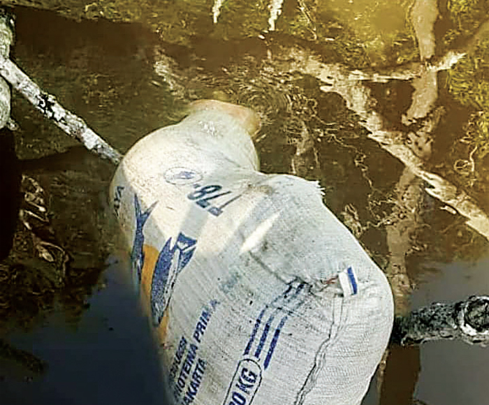 Kasus Mutilasi Papua Diduga Libatkan Perwira TNI