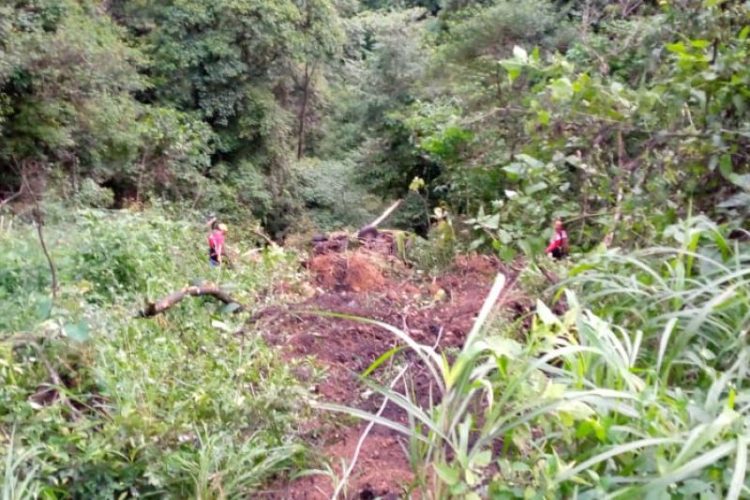 Truk di Padang Terjun ke Jurang, Sopirnya Hilang