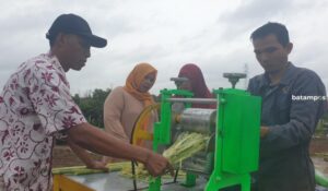 Kenalkan Produk Olahan Sorgum ke Masyarakat, Kelompok Tani Milenial Kreatif Gandeng KUBE Sorgum