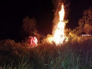 Resahkan Warga, Sarang Tawon Vespa di Teluk Sebong Dibakar