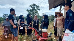 Dampingi Petani Sorgum, Mahasiswa IPB Tinjau Lokasi Kebun Sorgum di Kampung Sungai Jeram