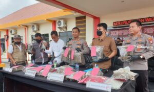 Polisi Tangkap Kurir Ganja Lintas Provinsi dengan Berat 17 Kilogram