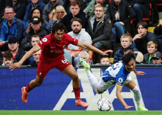 Pesta 6 Gol di Laga Liverpool vs Brighton & Hove Albion