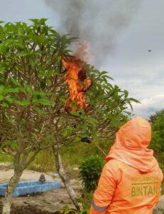 Hingga Oktober 2022, Damkar Toapaya Evakuasi 103 Hewan Berbahaya