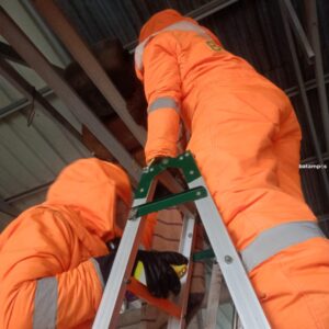 Petugas Damkar Tanjunguban Evakuasi Sarang Lebah Madu