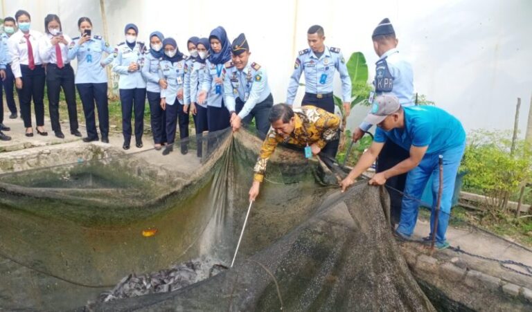 Rutan Batam Panen Ratusan Kg Lele Hasil Budidaya Warga Binaan