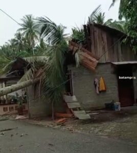 Hujan Disertai Angin Kencang Tumbangkan Batang Kelapa dan Timpa Rumah Anton