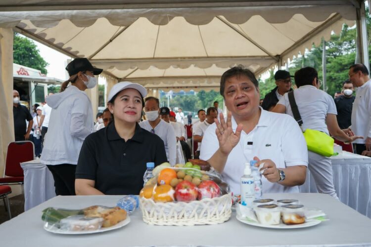 Pertemuan Puan-Airlangga Disebut Tak Akan Membentuk Koalisi