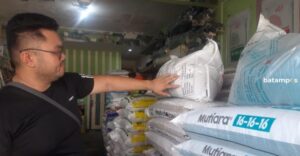 Harga Pupuk Nonsubsidi Mahal, Banyak Petani Pilih Beli Eceran