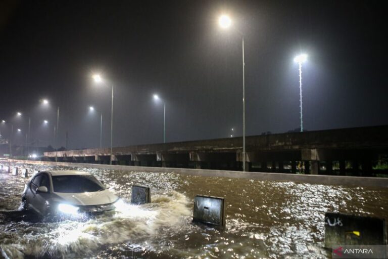 BNPB Catat Ada 1.252 Rumah di Tangerang Selatan Terendam Akibat Banjir