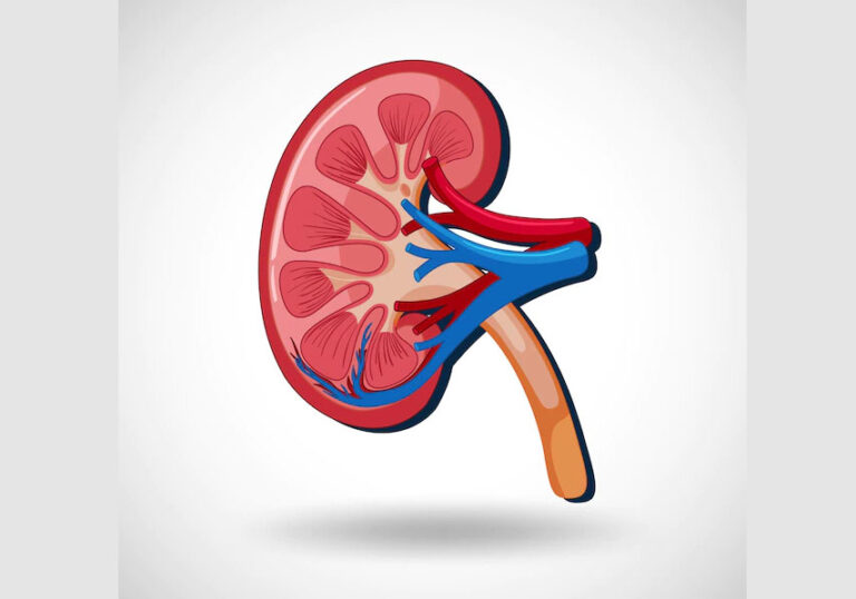 Dinas Kesehatan Kota Batam Investigasi Kasus Gagal Ginjal Akut