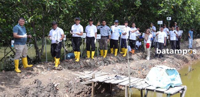 PLN Batam Tanam 5 Ribu Bibit Mangrove di Hutan Mangrove Tanjungpiayu