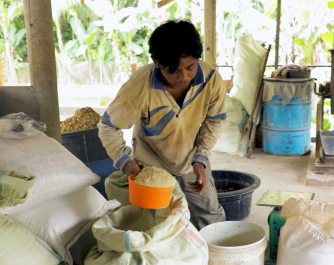 Pakan Mandiri Tingkatkan Profit Budidaya Ikan Nila