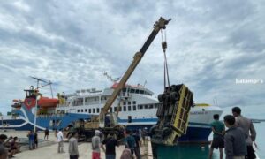 Truk Angkut Puluhan Ribu Bibit Anak Ayam Terjatuh ke Laut