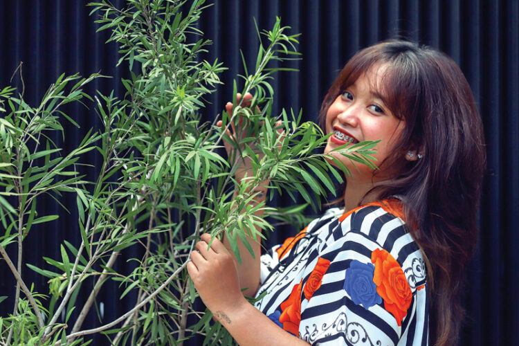 Pohon Kayu Putih, Percantik Ruangan Sekaligus Pengusir Nyamuk