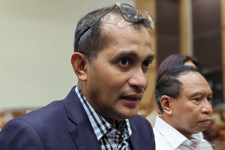RUU KUHP, Pasal Penyerangan Martabat Presiden Alami Perubahan