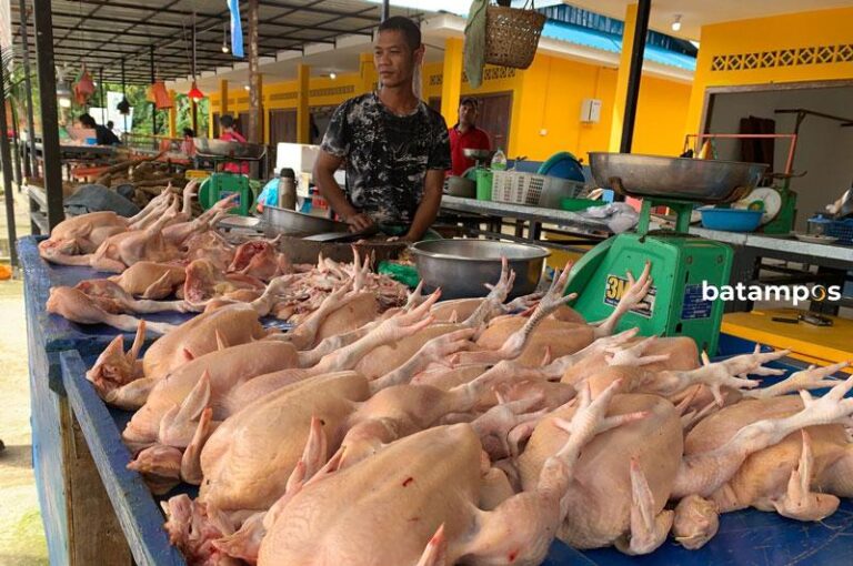 Pedagang Daging Ayam Terpaksa Jual Murah Demi Bisa Bertahan