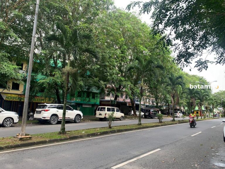 2023, Pemko Tanjungpinang Tata Kawasan Bintan Center