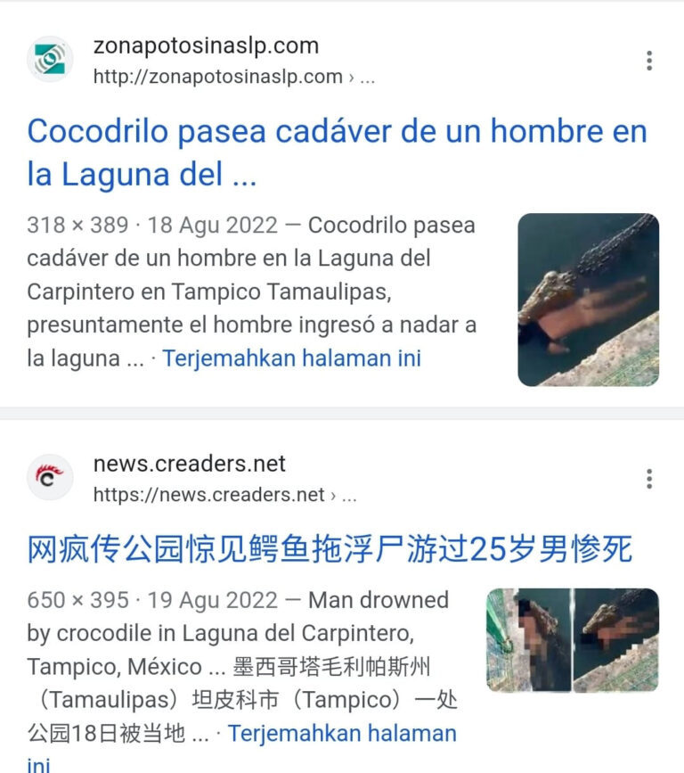 Viral Video Buaya Terkam Manusia, Kapolsek KKP Cek ke Lokasi Ternyata Bukan di Batam