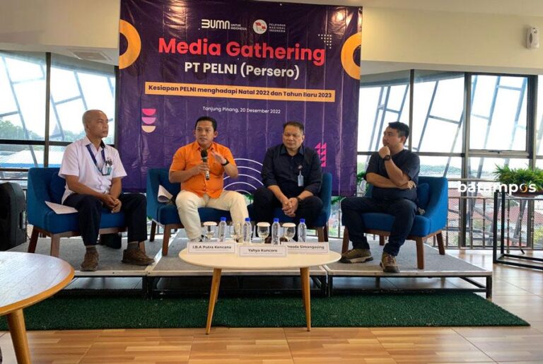 Pelni Prediksi akan Ada Lonjakan Penumpang 451 Ribu Orang, Pelni Butuh Tambahan Kapal
