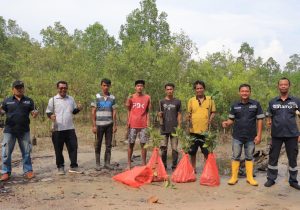  PT Timah Tbk Bersama Masyarakat Lakukan Perawatan Mangrove, Pascatanam