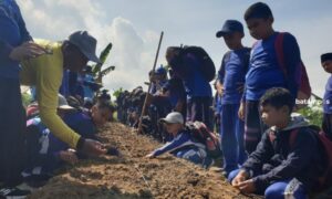 Pelajar SDIT Bahtera Insani Dikenalkan Tanaman Sorgum