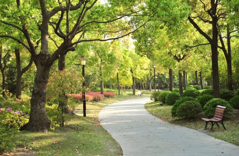 Astra Land Indonesia Hadirkan Hunian dengan Lanskap Berkonsep Eco-Green di Cikupa