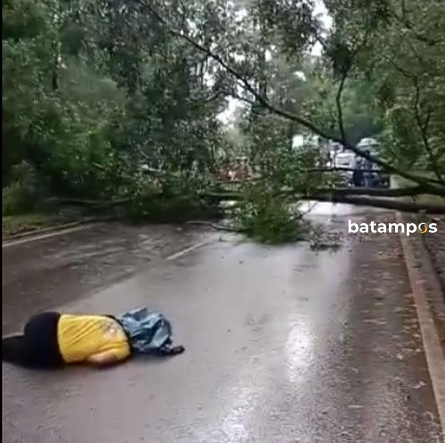 Pengendara yang Tertimpa Pohon Tumbang di Seraya Atas Meninggal Dunia